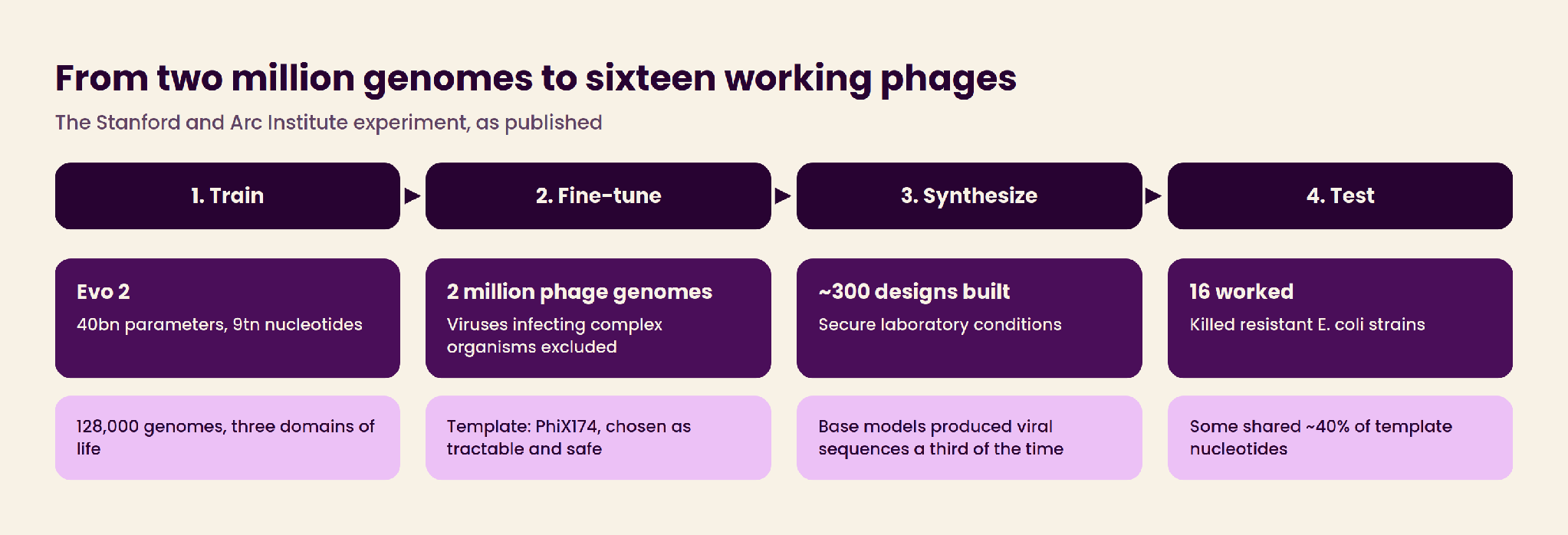 From two million genomes to sixteen working phages: the design pipeline from training corpus through candidate generation to synthesised, viable bacteriophages
