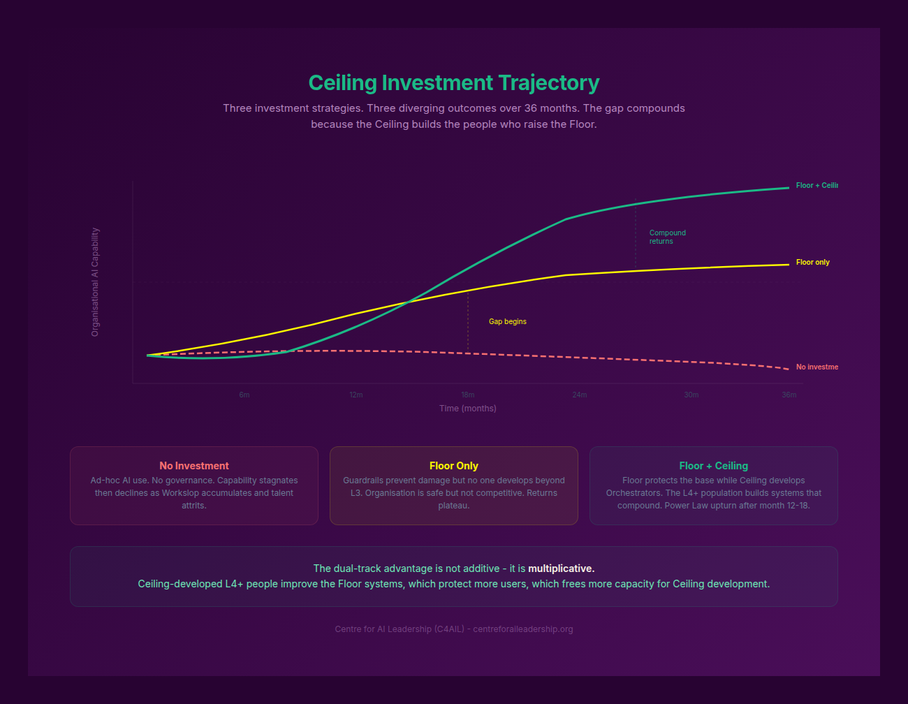 Ceiling Investment Trajectory